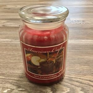 American Craft Apple Cinnamon Single Wick Candle 23 oz NWT
